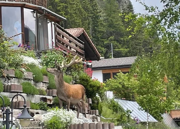 Sunny With A Beautiful View In Dorf Alvaneu